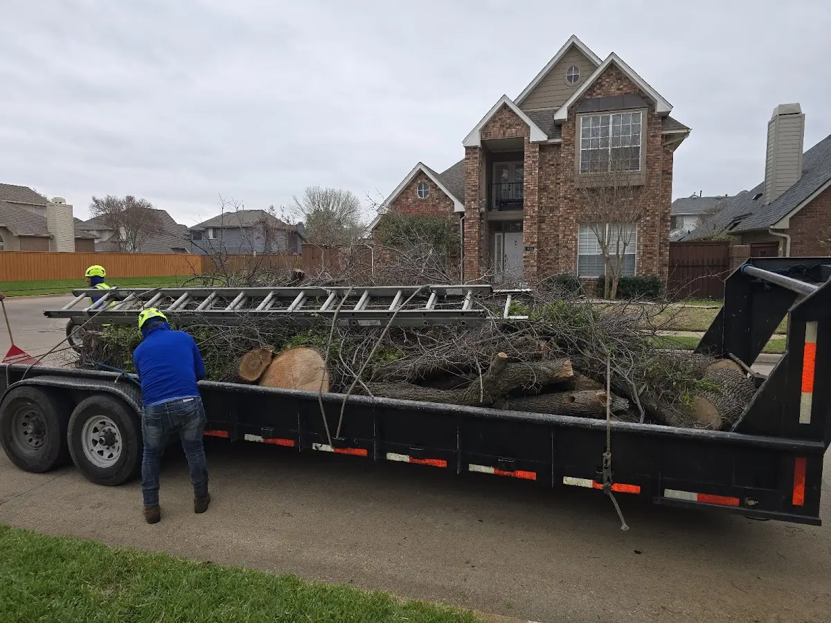 Expert Lot Clearing with proper safety equipment in Ricetown